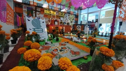 colbach13muertos